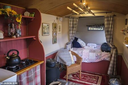 Glamping web site proprietor who disabled chicken scaring units he claimed have been intentionally geared toward visitors vows to clear his identify after he was charged with theft in prosecution U-turn