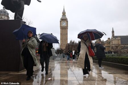 Here comes the solar! Forecasters say elements of England endured ZERO sunshine for the previous seven days – the gloomiest February week in 50 years – however that is all set to alter TODAY