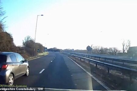 Moment drink-driver is caught crashing automobile by his OWN dashcam – which then additionally information him telling pal: ‘I’ve had an excessive amount of to drink and I’ll lose my job’